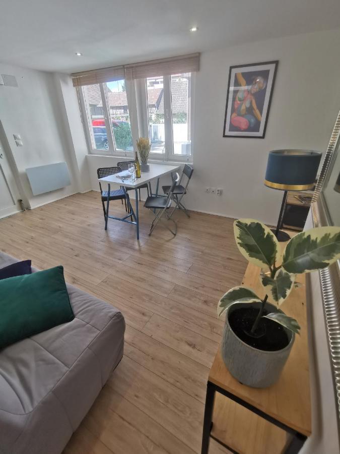 Logement Entier A 15Min Du Centre Ville De Strasbourg Bischheim Экстерьер фото